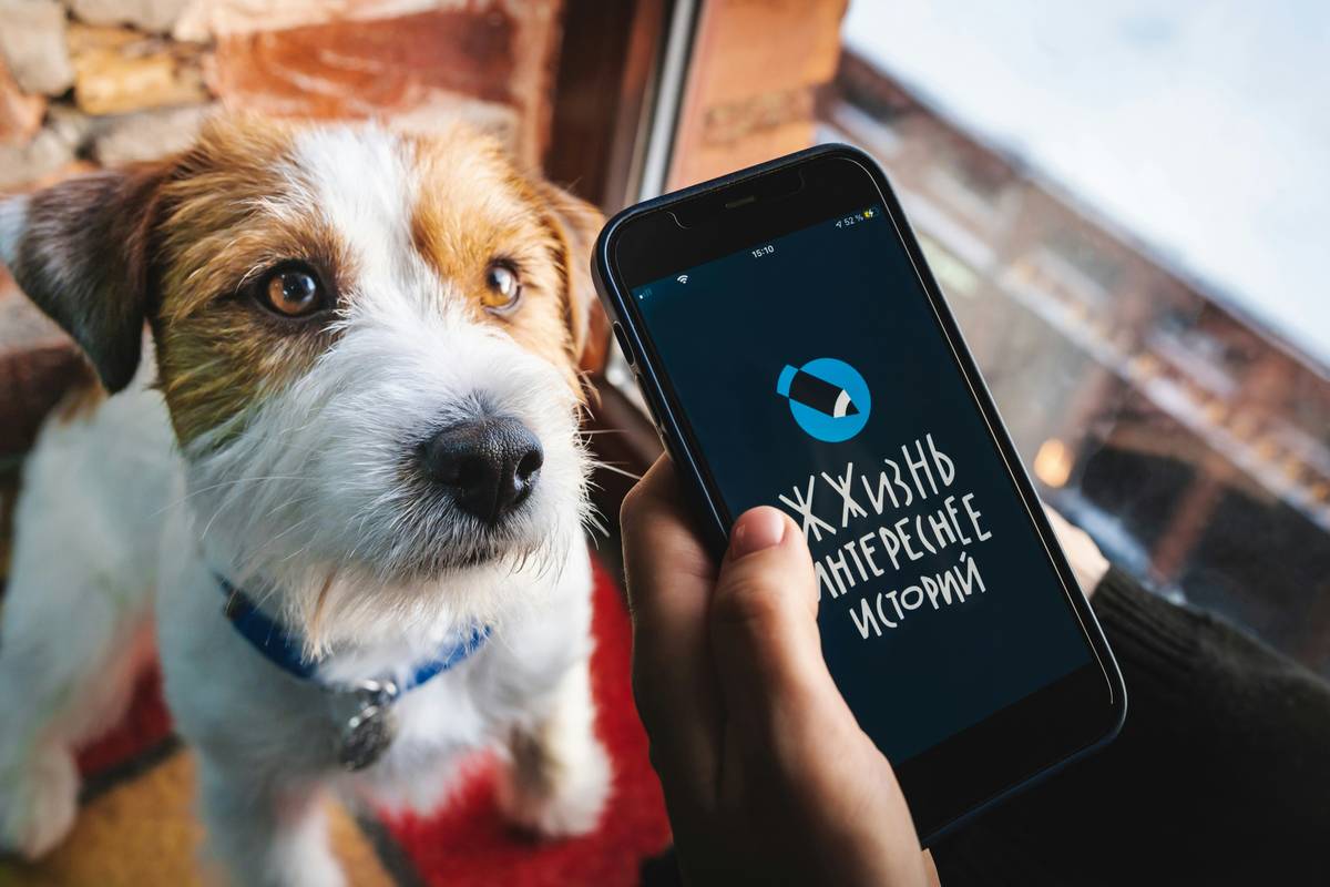AI Dog Training App: The Future of Hybrid Pet Coaching